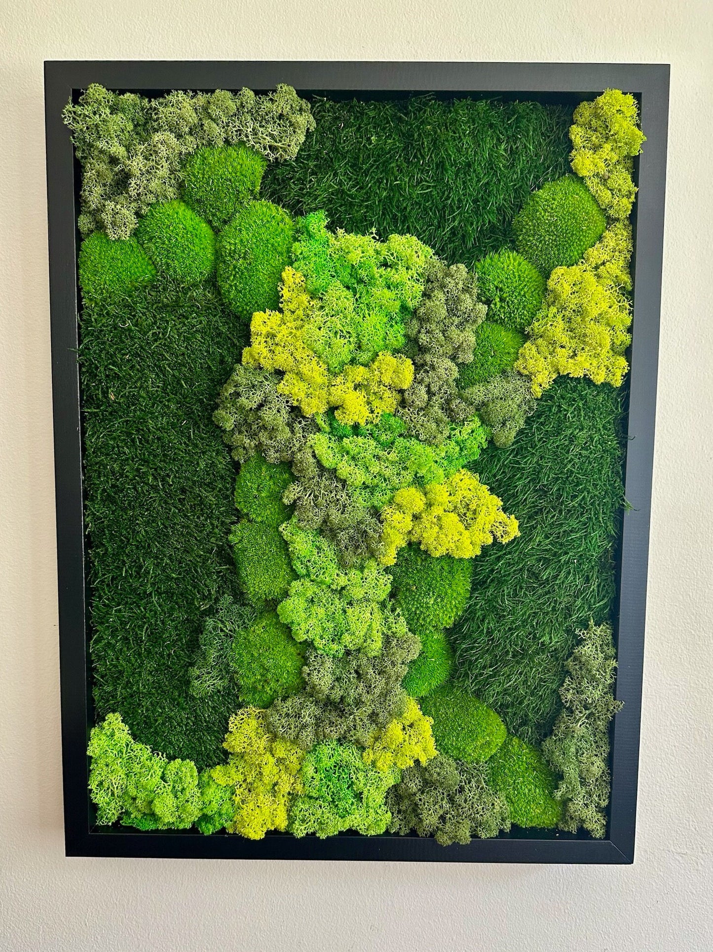 Preserved Reindeer Moss Wall Art: Wood Frame, Green Moss Decor | USA - TARIFF FREE