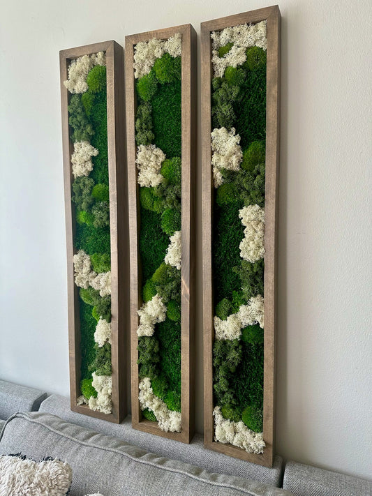 Preserved Reindeer Moss Wall Art: Wood Frame Set | USA - TARIFF FREE