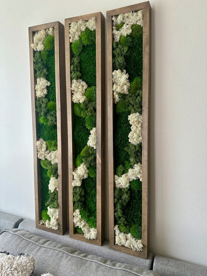 Preserved Reindeer Moss Wall Art: Wood Frame Set | USA - TARIFF FREE