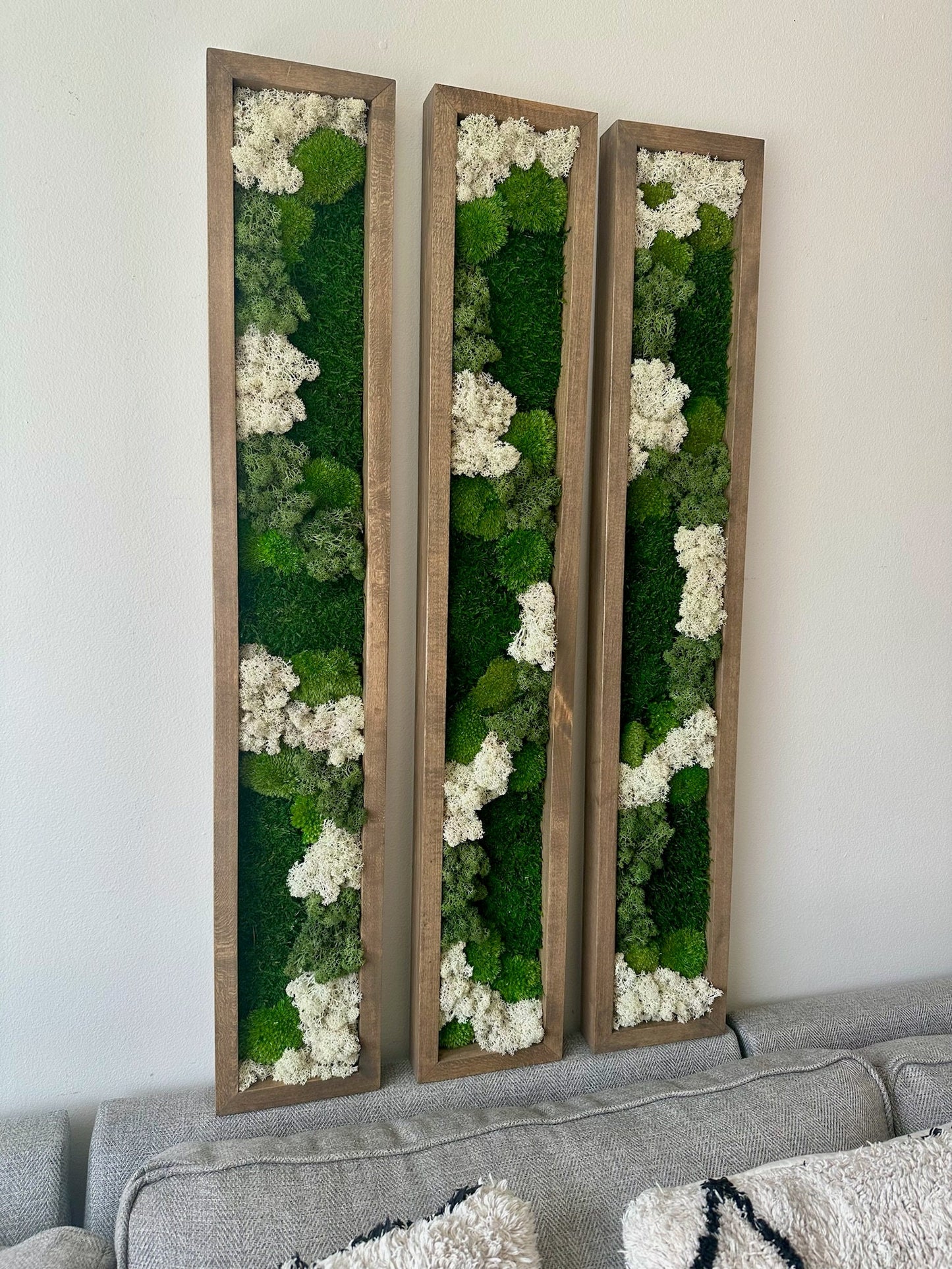 Preserved Reindeer Moss Wall Art: Wood Frame Set | USA - TARIFF FREE