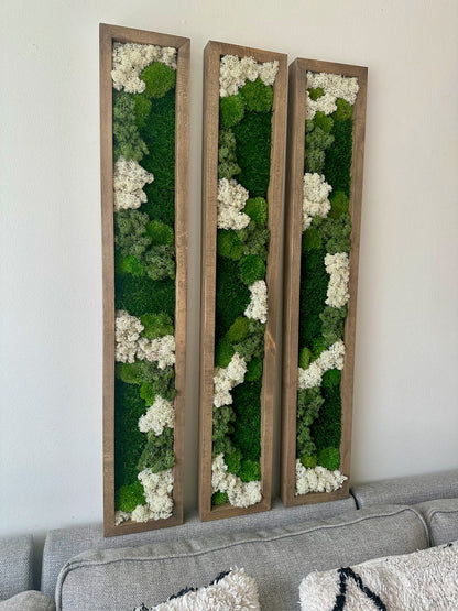 Preserved Reindeer Moss Wall Art: Wood Frame Set | USA - TARIFF FREE