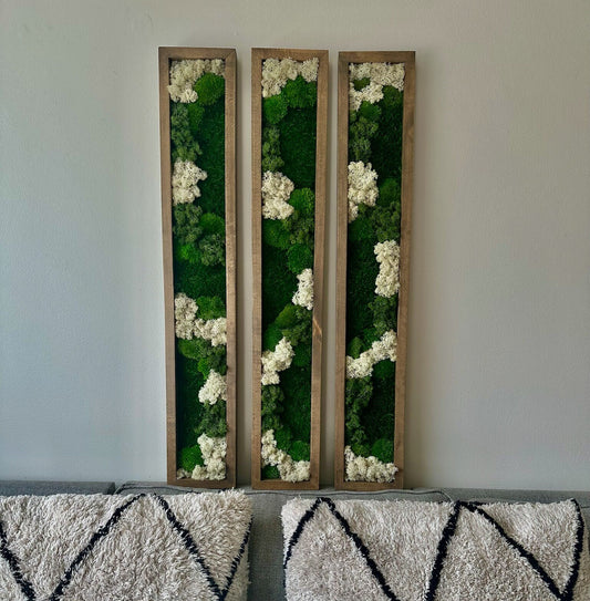 Moss Wall Art | Preserved Moss Art | Moss Wall Decor | Wood Frame Sets | Large Rectangle Single - Four Set | Green Reindeer Sheet  Pole Moss