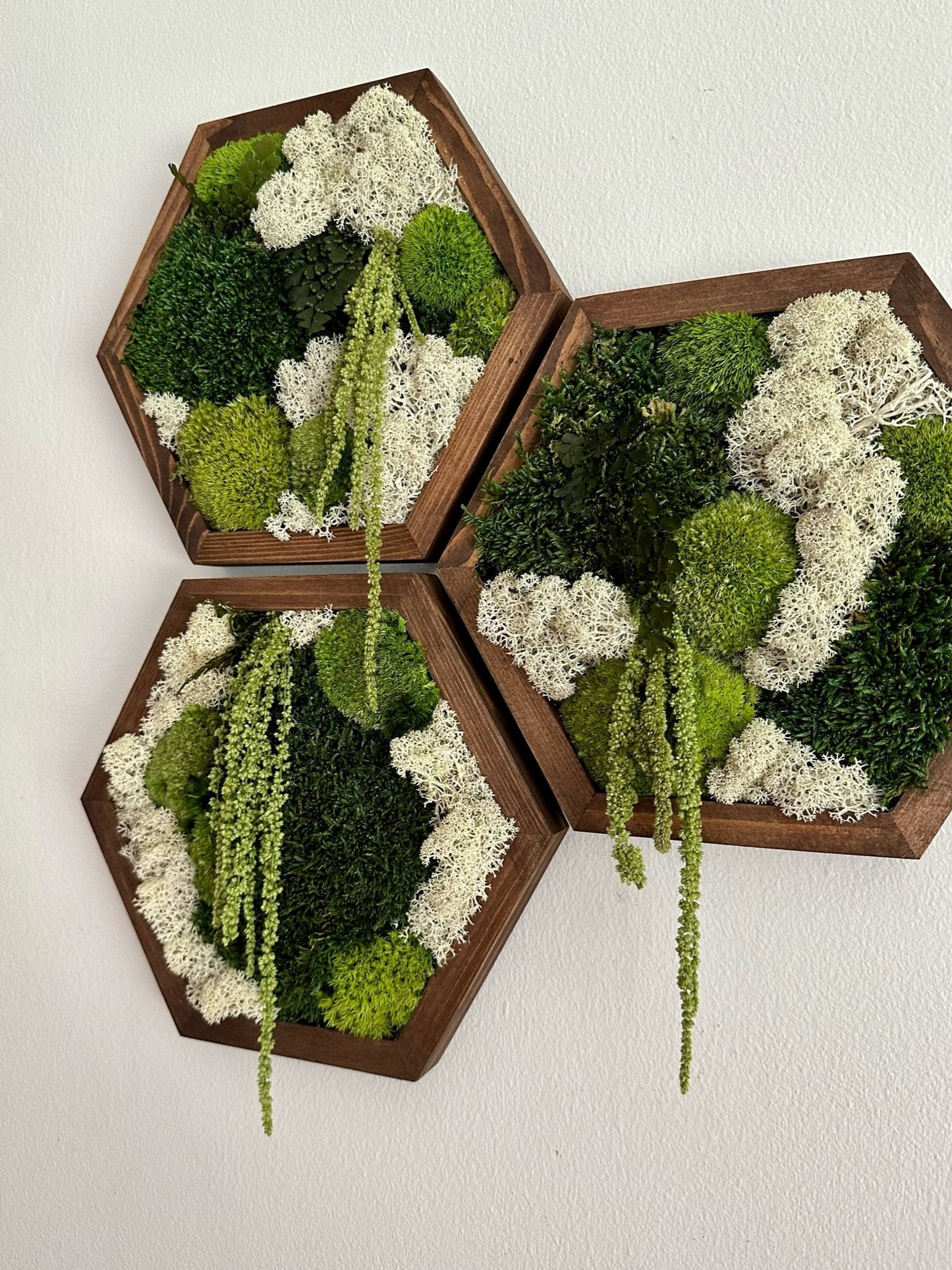 Honeycomb Moss Wall Art: Preserved Reindeer Moss & Amaranthus | USA - TARIFF FREE