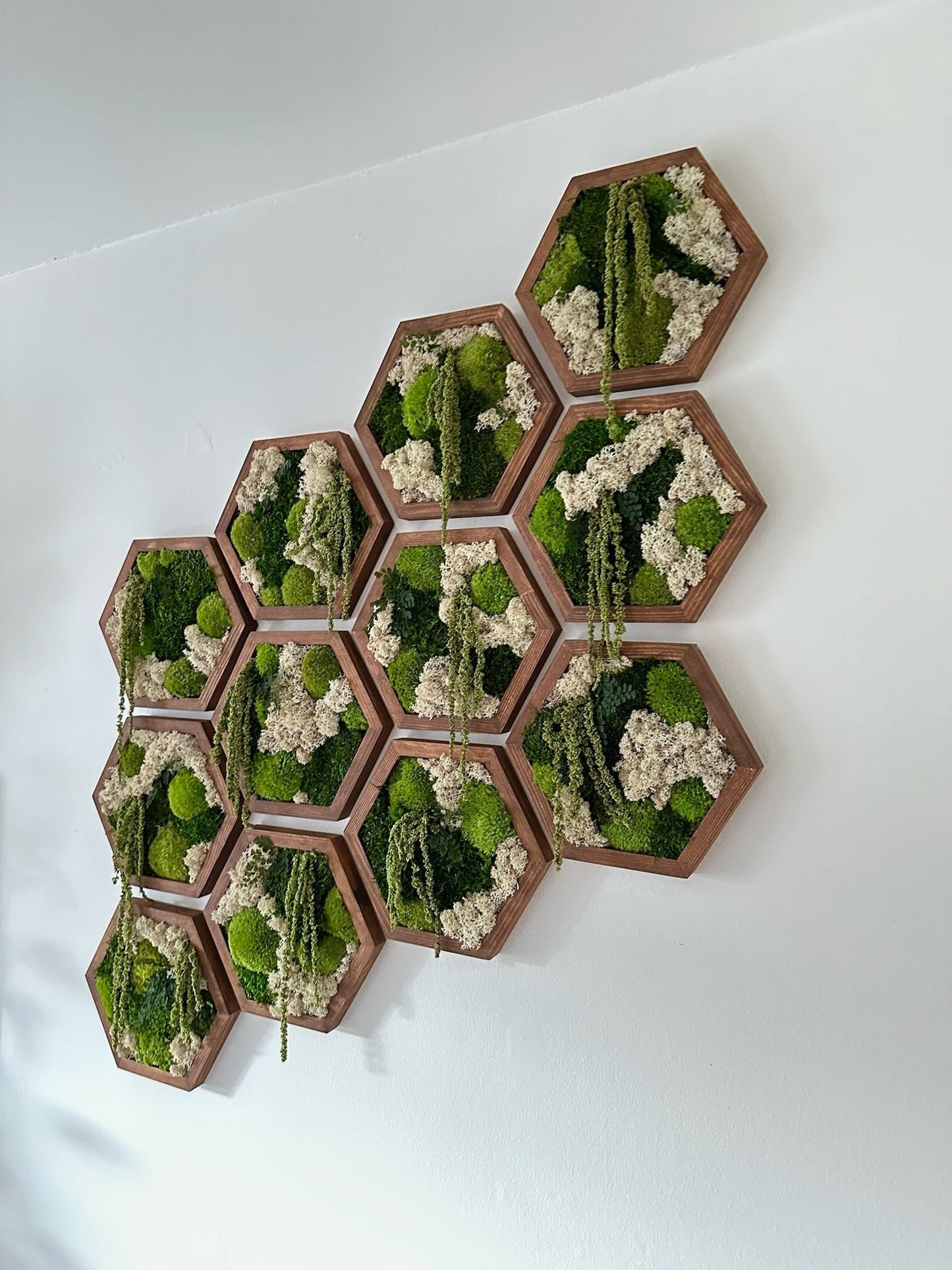 Honeycomb Moss Wall Art: Preserved Reindeer Moss & Amaranthus | USA - TARIFF FREE