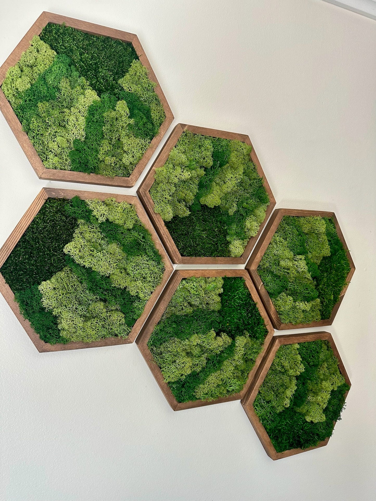 Moss Wall Art Decor | Handmade Wood Hexagon | Single Set to Six (8" x 9") or (10” x 11.6”) | Preserved Lichen, Pole, and Sheet Moss & Fern