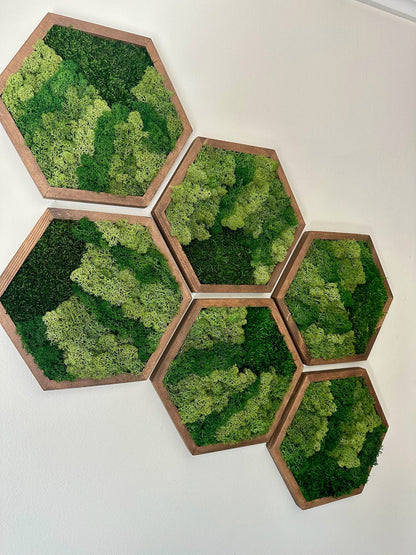 Moss Wall Art Decor | Handmade Wood Hexagon | Single Set to Six (8" x 9") or (10” x 11.6”) | Preserved Lichen, Pole, and Sheet Moss & Fern