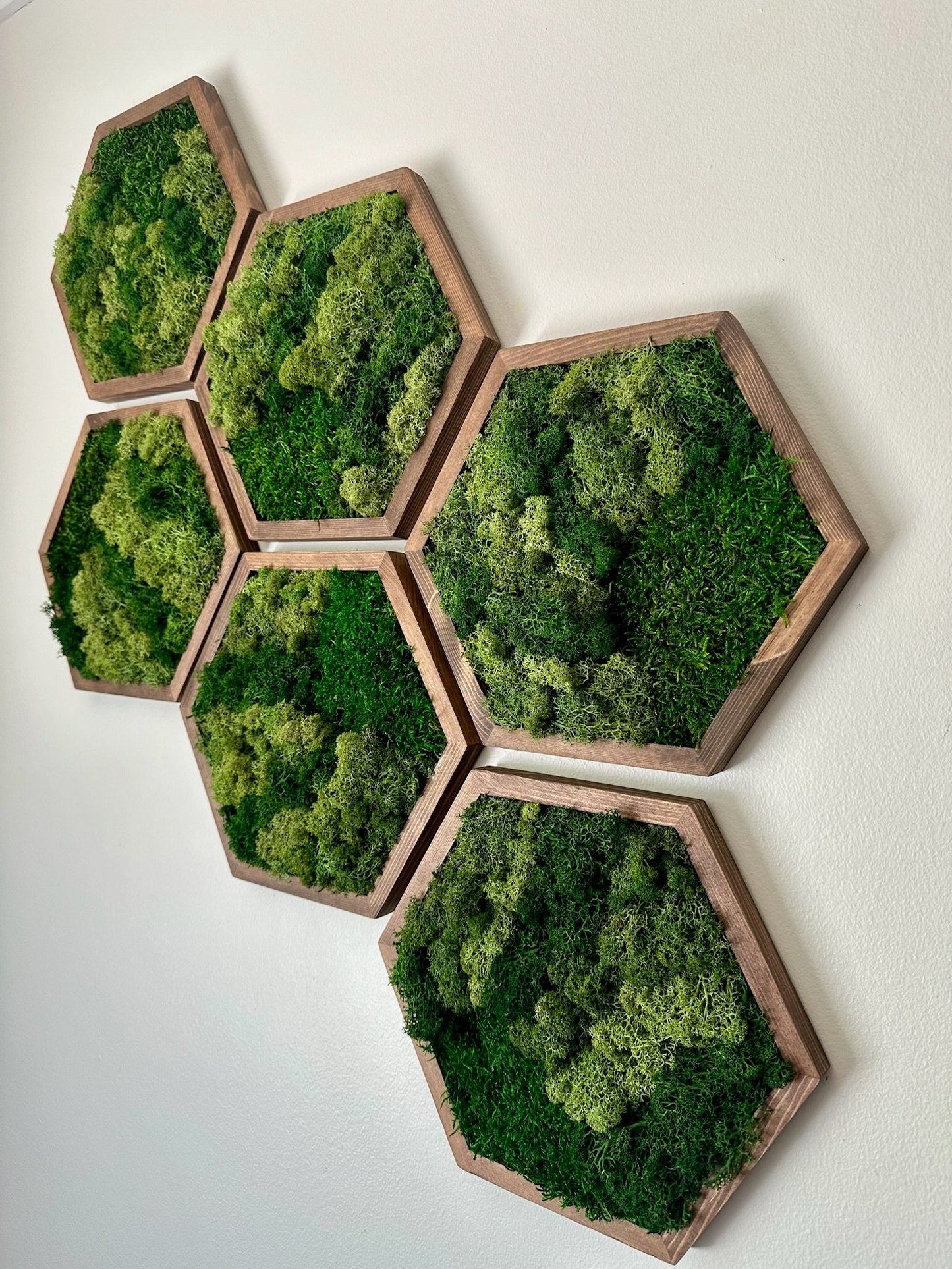 Moss Wall Art Decor | Handmade Wood Hexagon | Single Set to Six (8" x 9") or (10” x 11.6”) | Preserved Lichen, Pole, and Sheet Moss & Fern