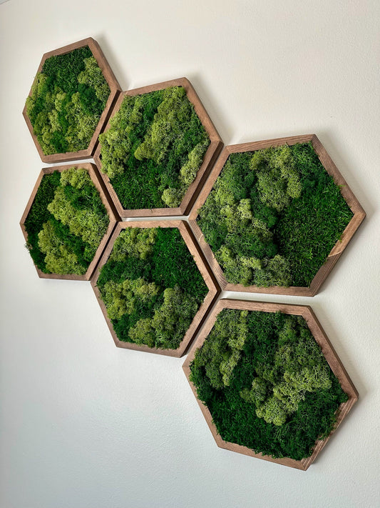 Moss Wall Art Decor | Handmade Wood Hexagon | Single Set to Six (8" x 9") or (10” x 11.6”) | Preserved Lichen, Pole, and Sheet Moss & Fern