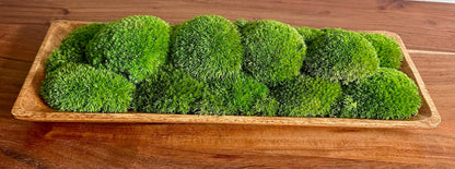 Preserved Moss Centerpiece: Olive Wood Nature Bowl, Pole & Reindeer Moss | USA - TARIFF FREE