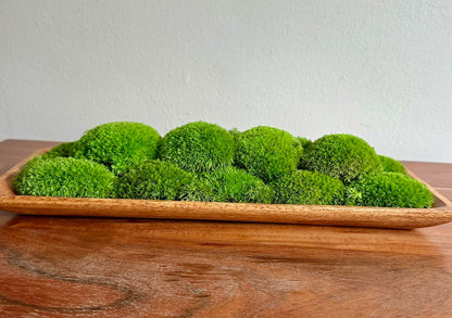Preserved Moss Centerpiece: Olive Wood Nature Bowl, Pole & Reindeer Moss | USA - TARIFF FREE
