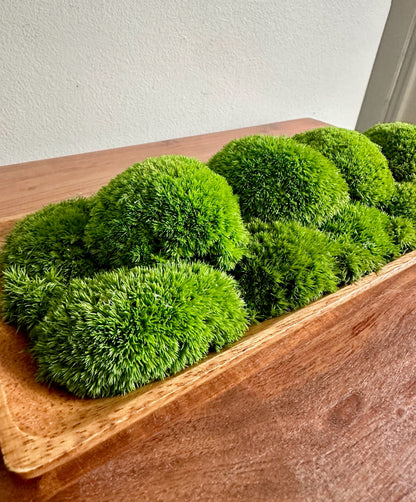 Preserved Moss Centerpiece: Olive Wood Nature Bowl, Pole & Reindeer Moss | USA - TARIFF FREE