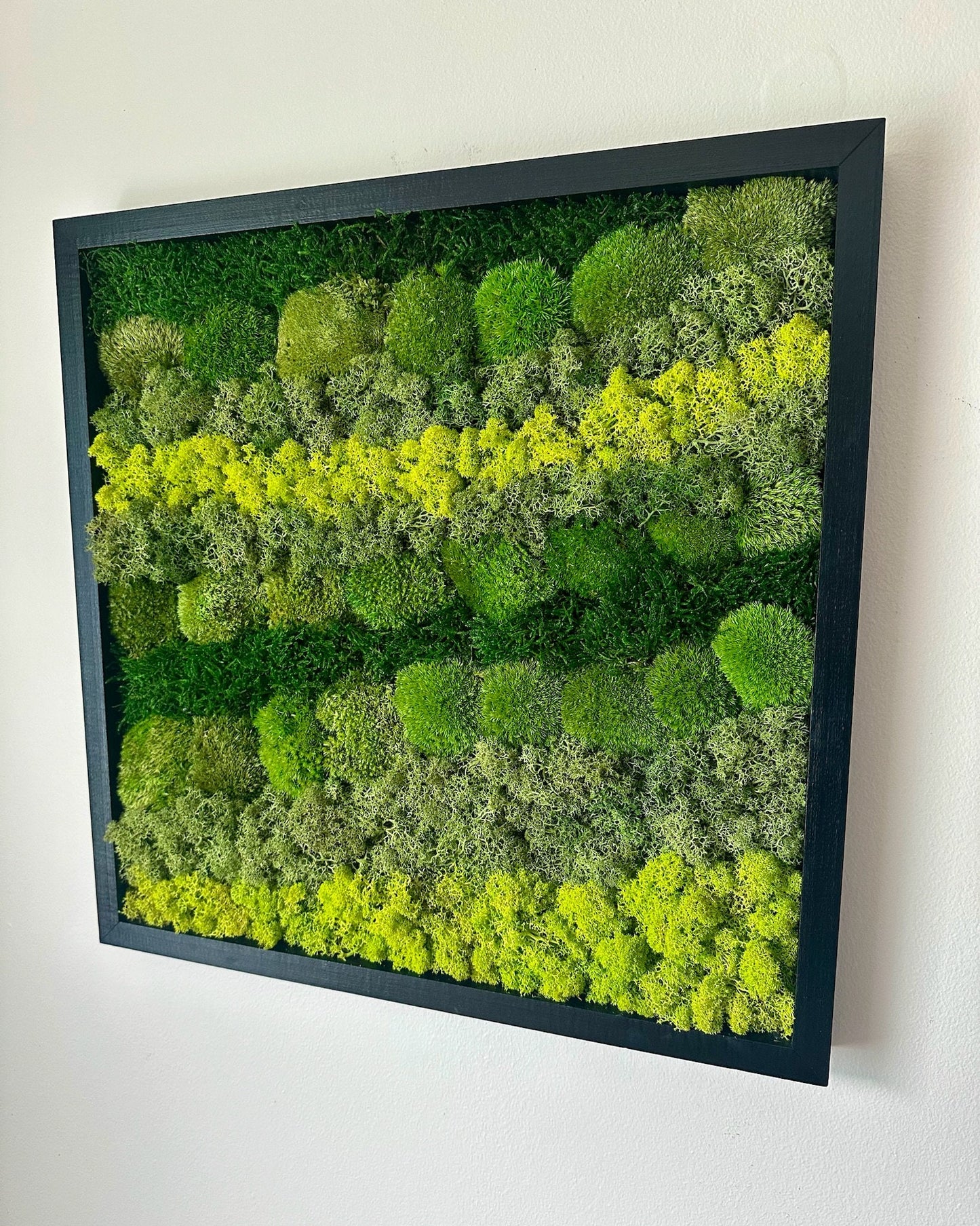 Preserved Reindeer Moss Wall Art: Wood Frame, Natural Green Decor | USA - TARIFF FREE