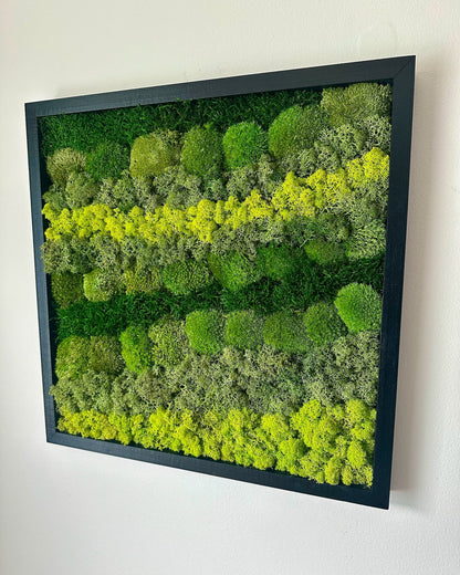 Preserved Reindeer Moss Wall Art: Wood Frame, Natural Green Decor | USA - TARIFF FREE