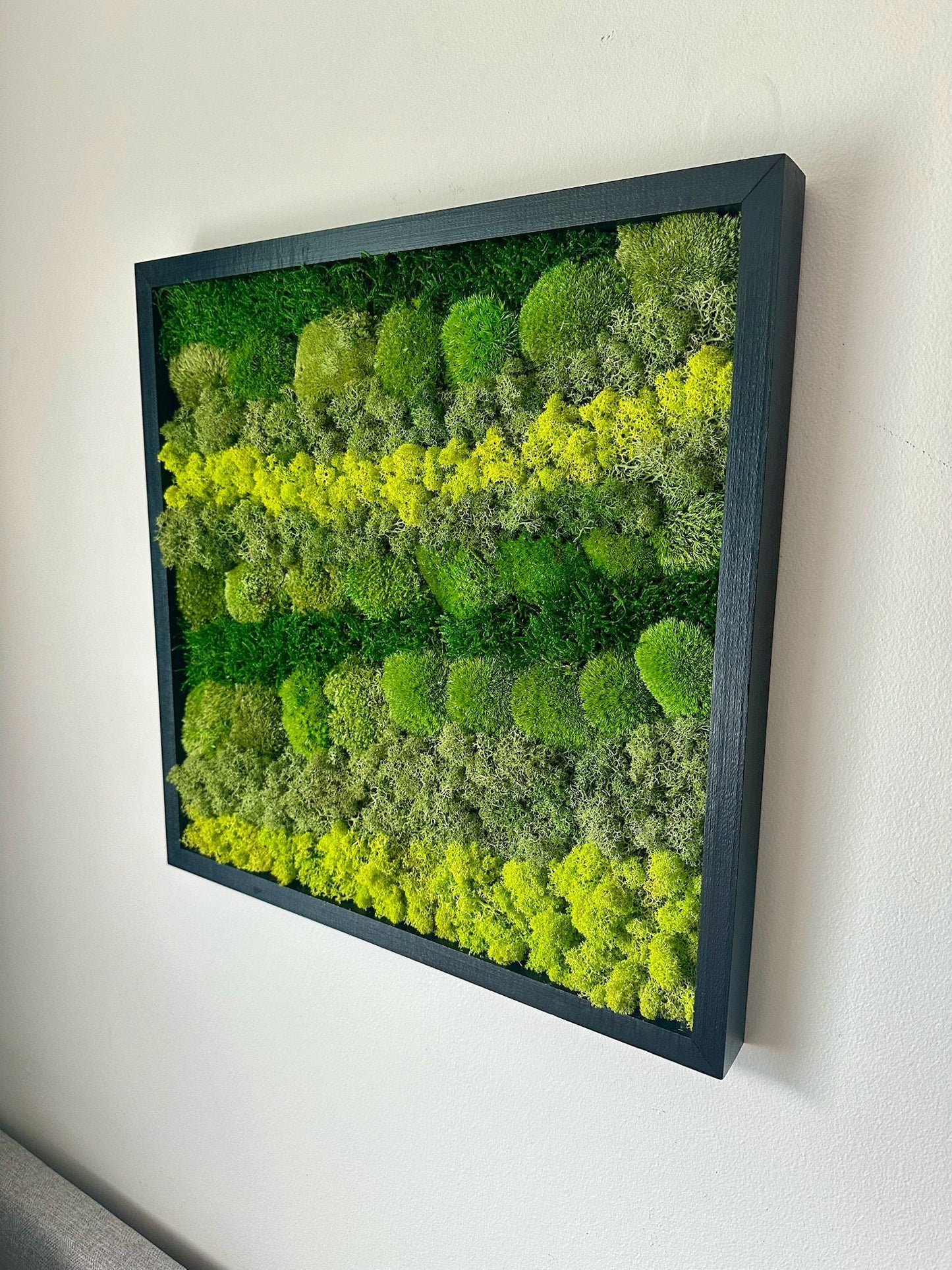 Preserved Reindeer Moss Wall Art: Wood Frame, Natural Green Decor | USA - TARIFF FREE