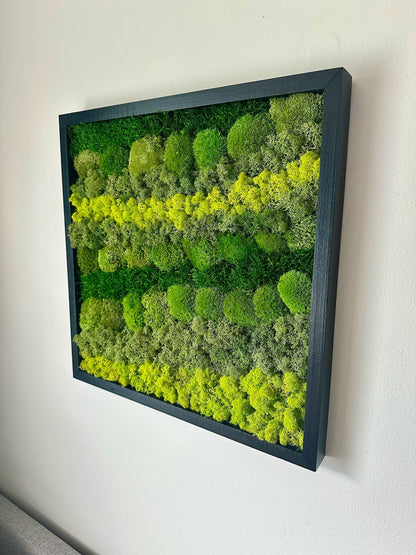 Preserved Reindeer Moss Wall Art: Wood Frame, Natural Green Decor | USA - TARIFF FREE
