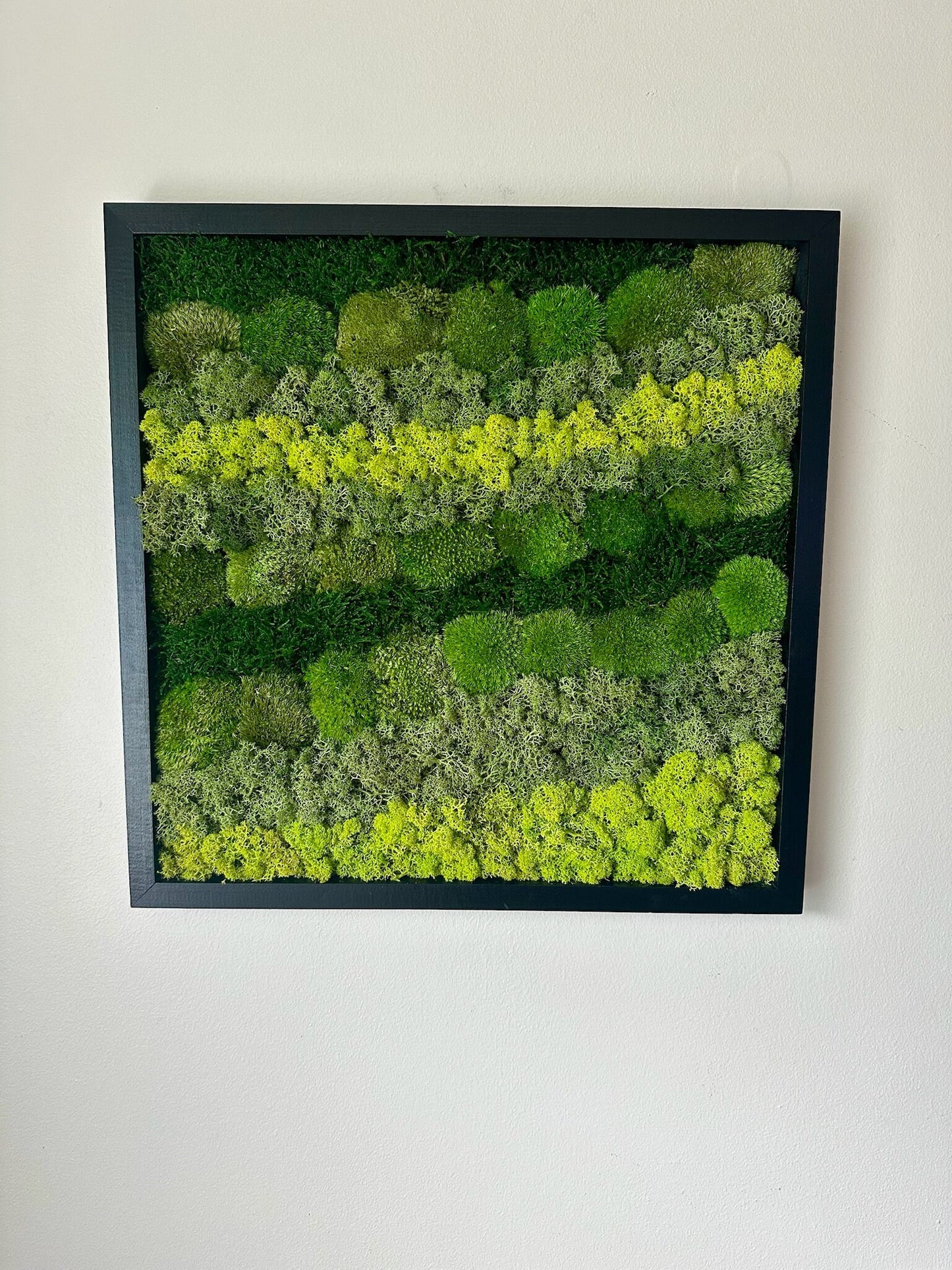 Preserved Reindeer Moss Wall Art: Wood Frame, Natural Green Decor | USA - TARIFF FREE