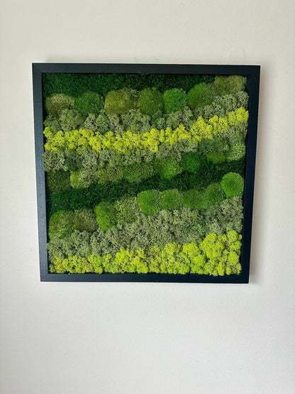 Preserved Reindeer Moss Wall Art: Wood Frame, Natural Green Decor | USA - TARIFF FREE