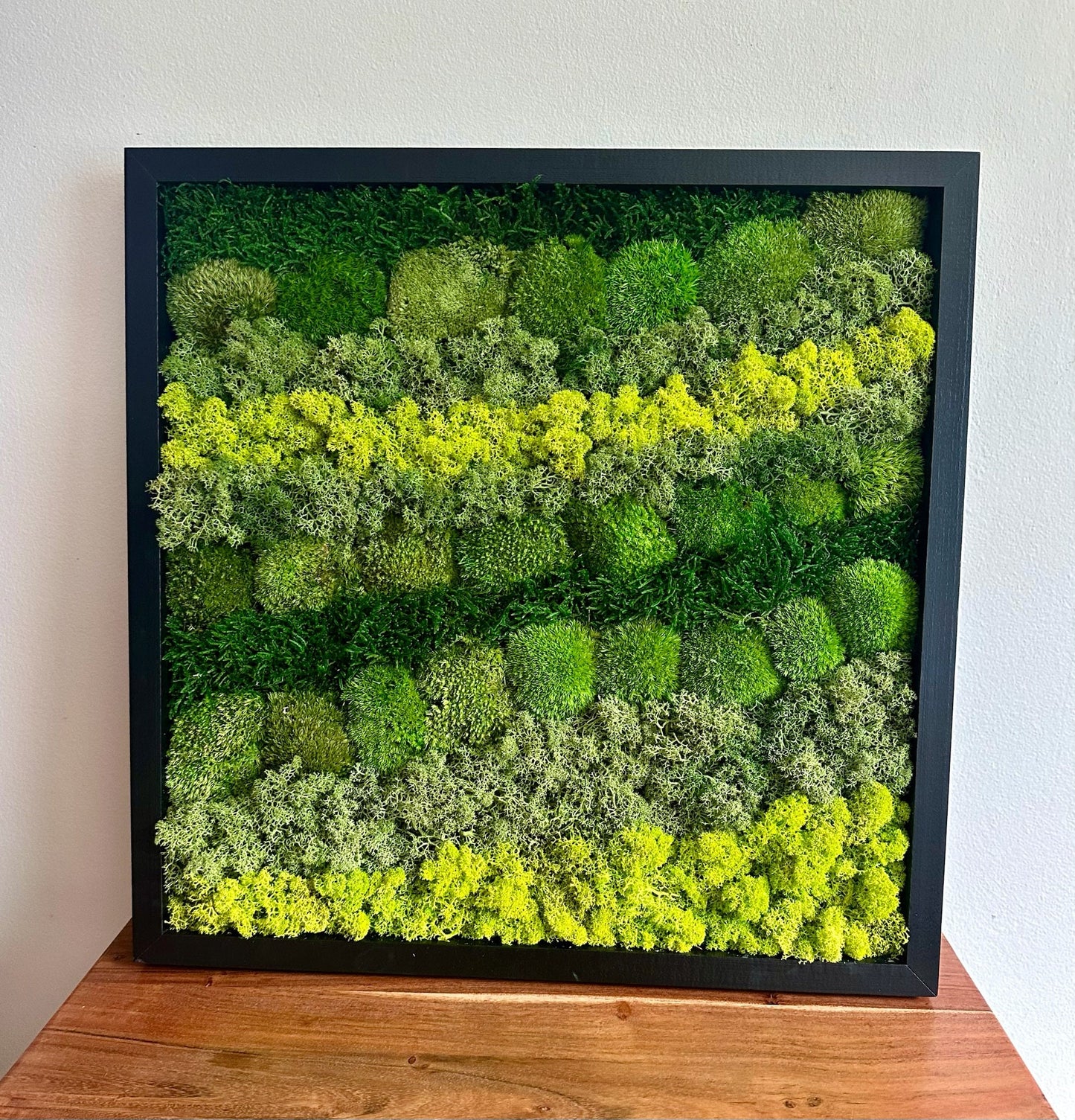 Preserved Reindeer Moss Wall Art: Wood Frame, Natural Green Decor | USA - TARIFF FREE