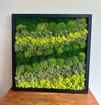 Preserved Reindeer Moss Wall Art: Wood Frame, Natural Green Decor | USA - TARIFF FREE