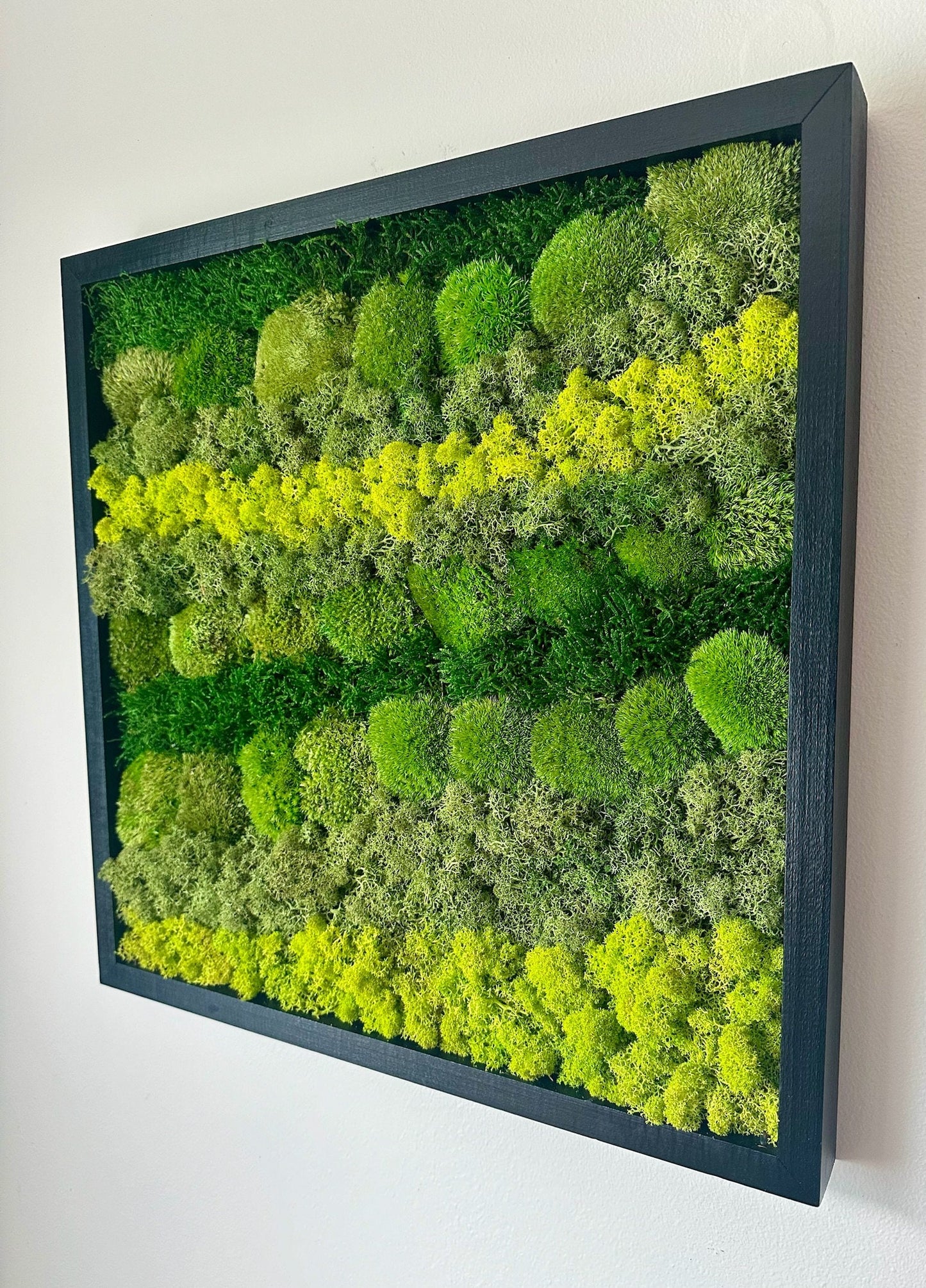 Preserved Reindeer Moss Wall Art: Wood Frame, Natural Green Decor | USA - TARIFF FREE