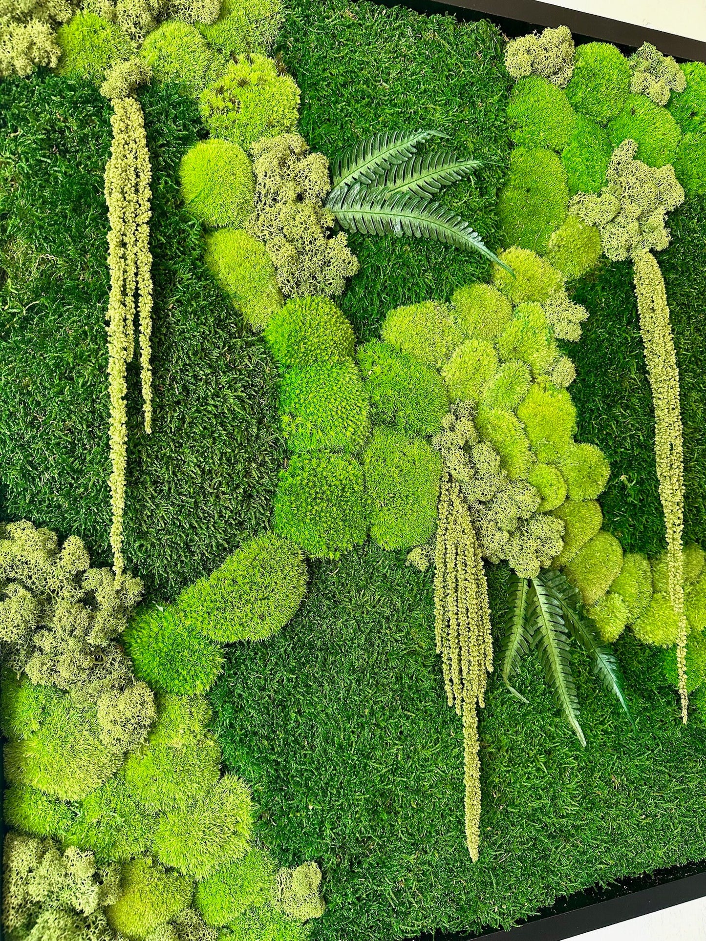 Preserved Reindeer Moss Wall Art, Square Wood Frame (30" x30") | USA - TARIFF FREE