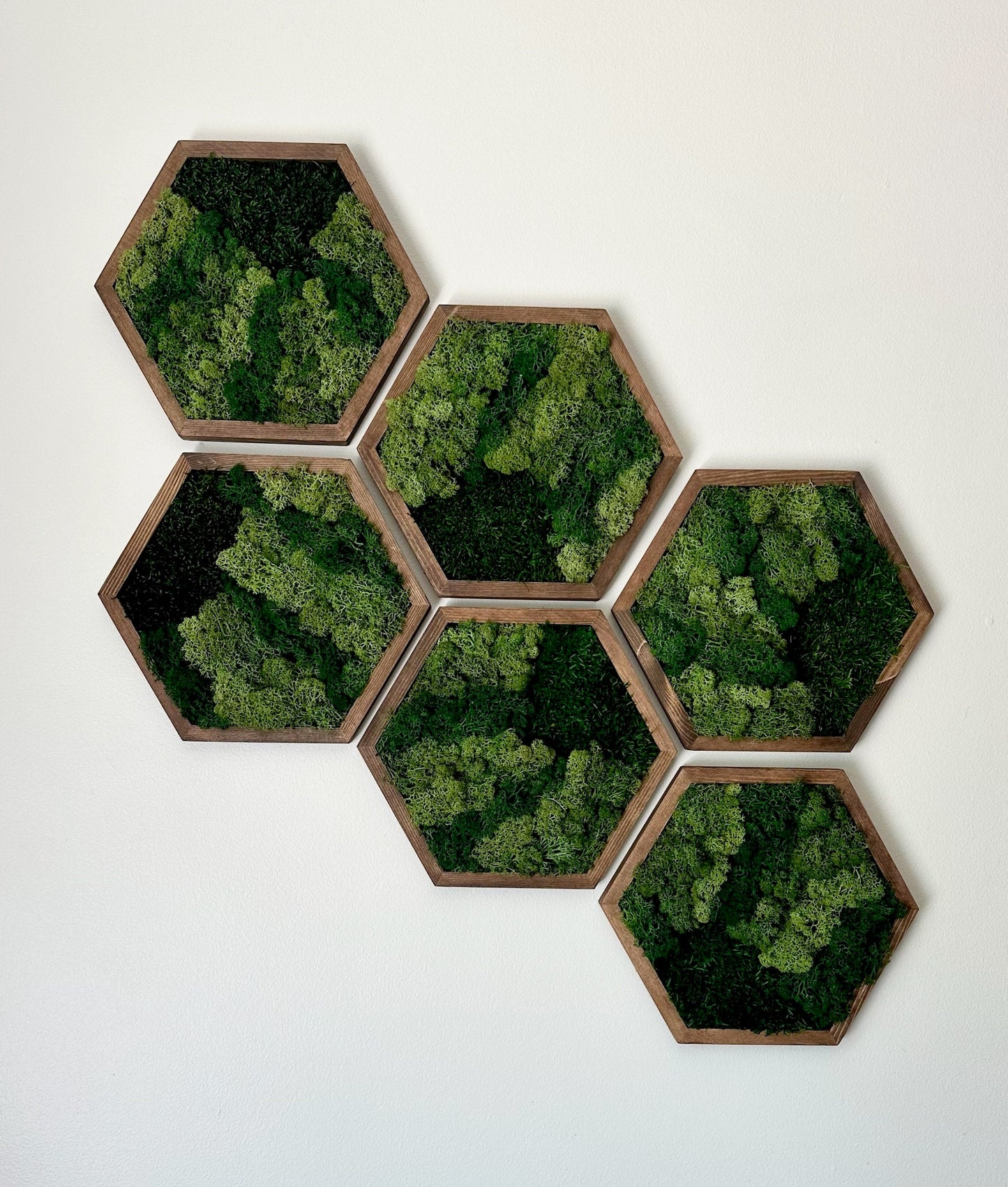 Moss Wall Art Decor | Handmade Wood Hexagon | Single Set to Six (8" x 9") or (10” x 11.6”) | Preserved Lichen, Pole, and Sheet Moss & Fern