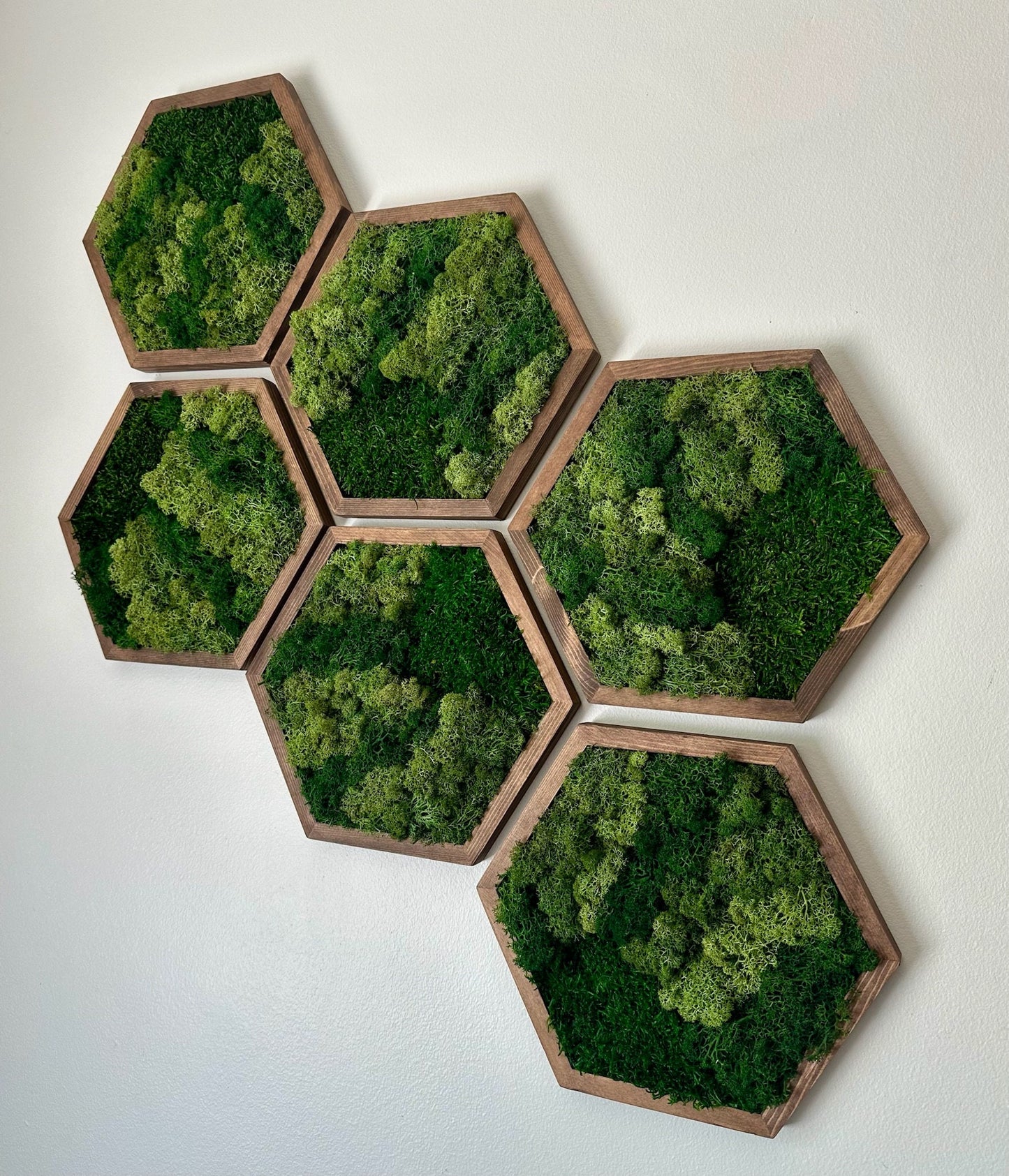 Moss Wall Art Decor | Handmade Wood Hexagon | Single Set to Six (8" x 9") or (10” x 11.6”) | Preserved Lichen, Pole, and Sheet Moss & Fern