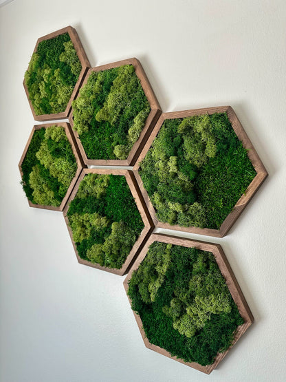 Handmade Wood Hexagon Moss Wall Art: Preserved Lichen & Fern Decor | USA - TARIFF FREE