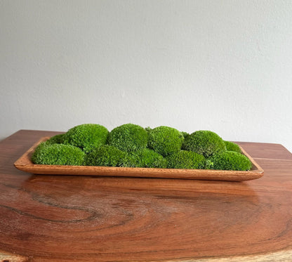Preserved Moss Centerpiece: Olive Wood Nature Bowl, Pole & Reindeer Moss | USA - TARIFF FREE