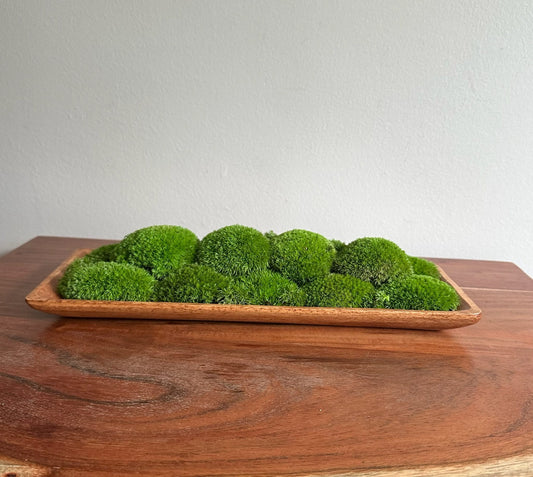 Preserved Moss Centerpiece: Olive Wood Nature Bowl, Pole & Reindeer Moss | USA - TARIFF FREE
