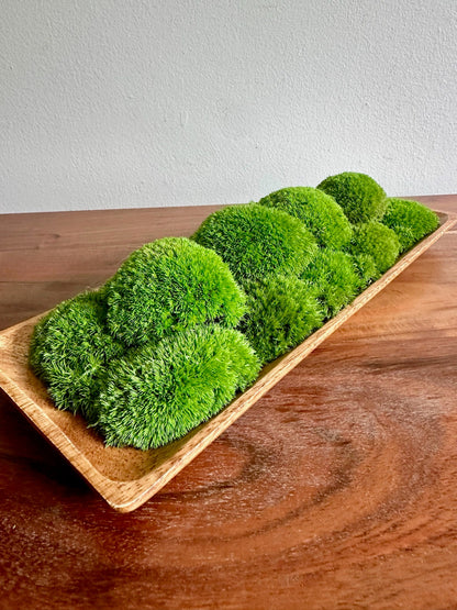 Preserved Moss Centerpiece: Olive Wood Nature Bowl, Pole & Reindeer Moss | USA - TARIFF FREE