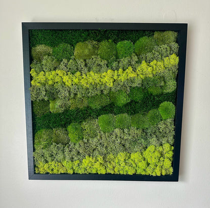 Preserved Reindeer Moss Wall Art: Wood Frame, Natural Green Decor | USA - TARIFF FREE
