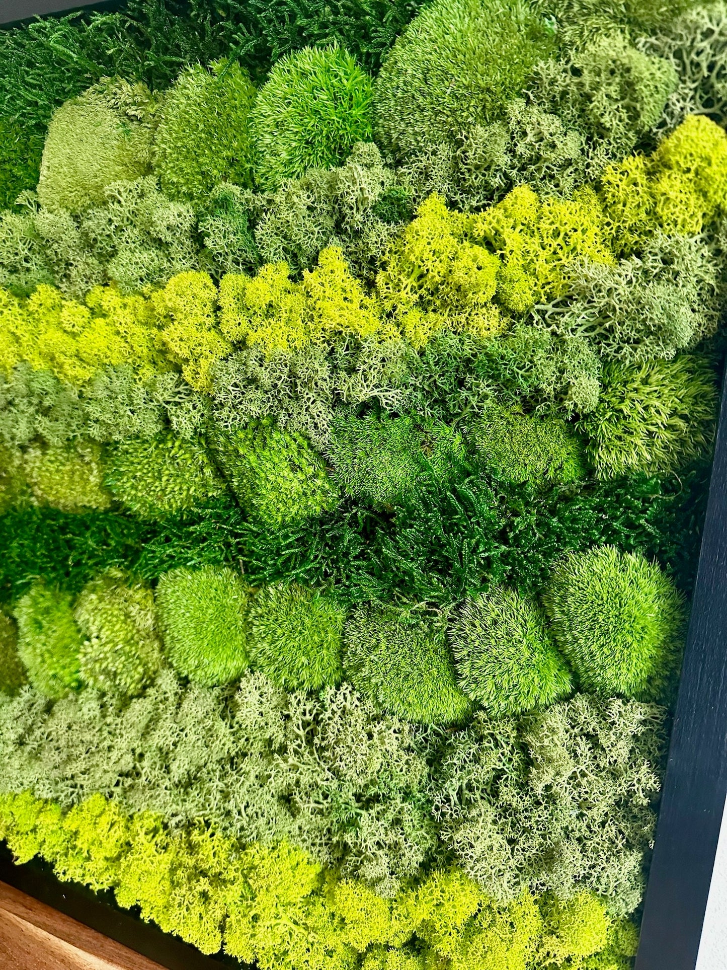 Preserved Reindeer Moss Wall Art: Wood Frame, Natural Green Decor | USA - TARIFF FREE