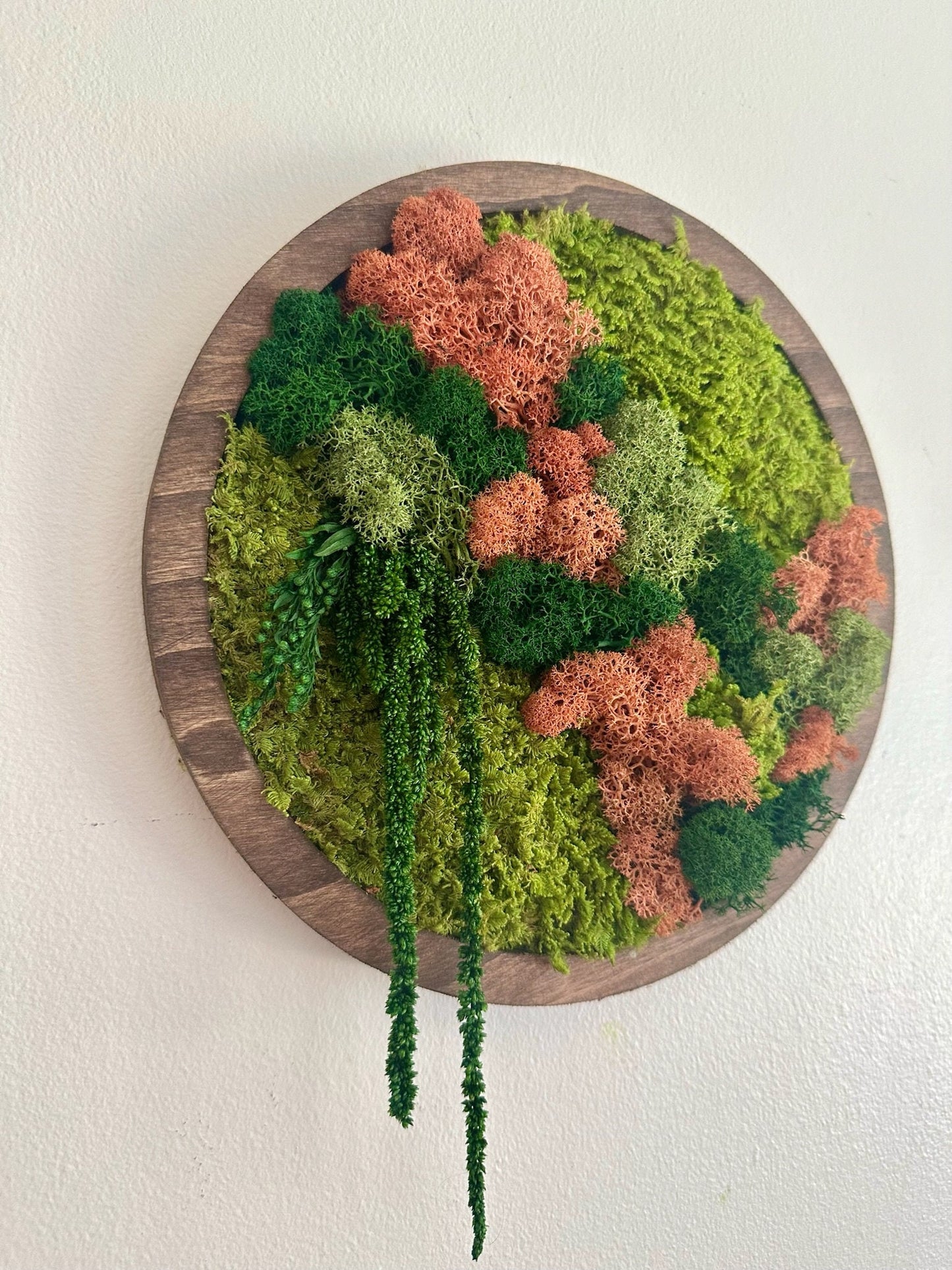 Preserved Moss Wall Art: Reindeer & Sheet Moss Circle Frame (10") | USA - TARIFF FREE