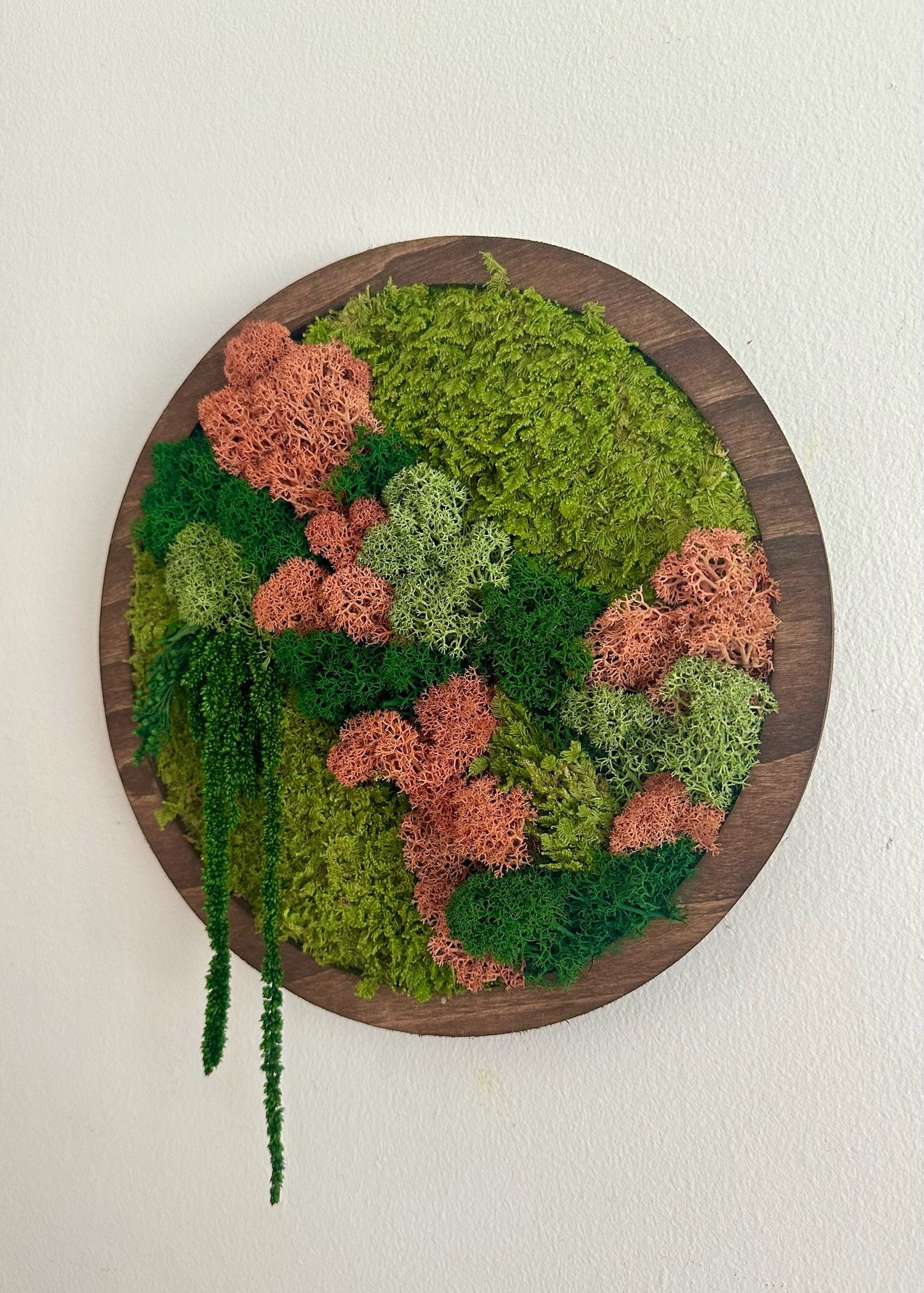 Preserved Moss Wall Art: Reindeer & Sheet Moss Circle Frame (10") | USA - TARIFF FREE