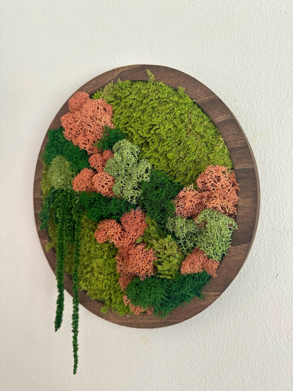 Preserved Moss Wall Art: Reindeer & Sheet Moss Circle Frame (10") | USA - TARIFF FREE