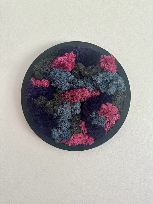 Moss Wall Art Circle Frame | Preserved Moss Art Framed | Moss Wall Decor | Single 10" | Reindeer & Sheet Moss | Christmas Gift