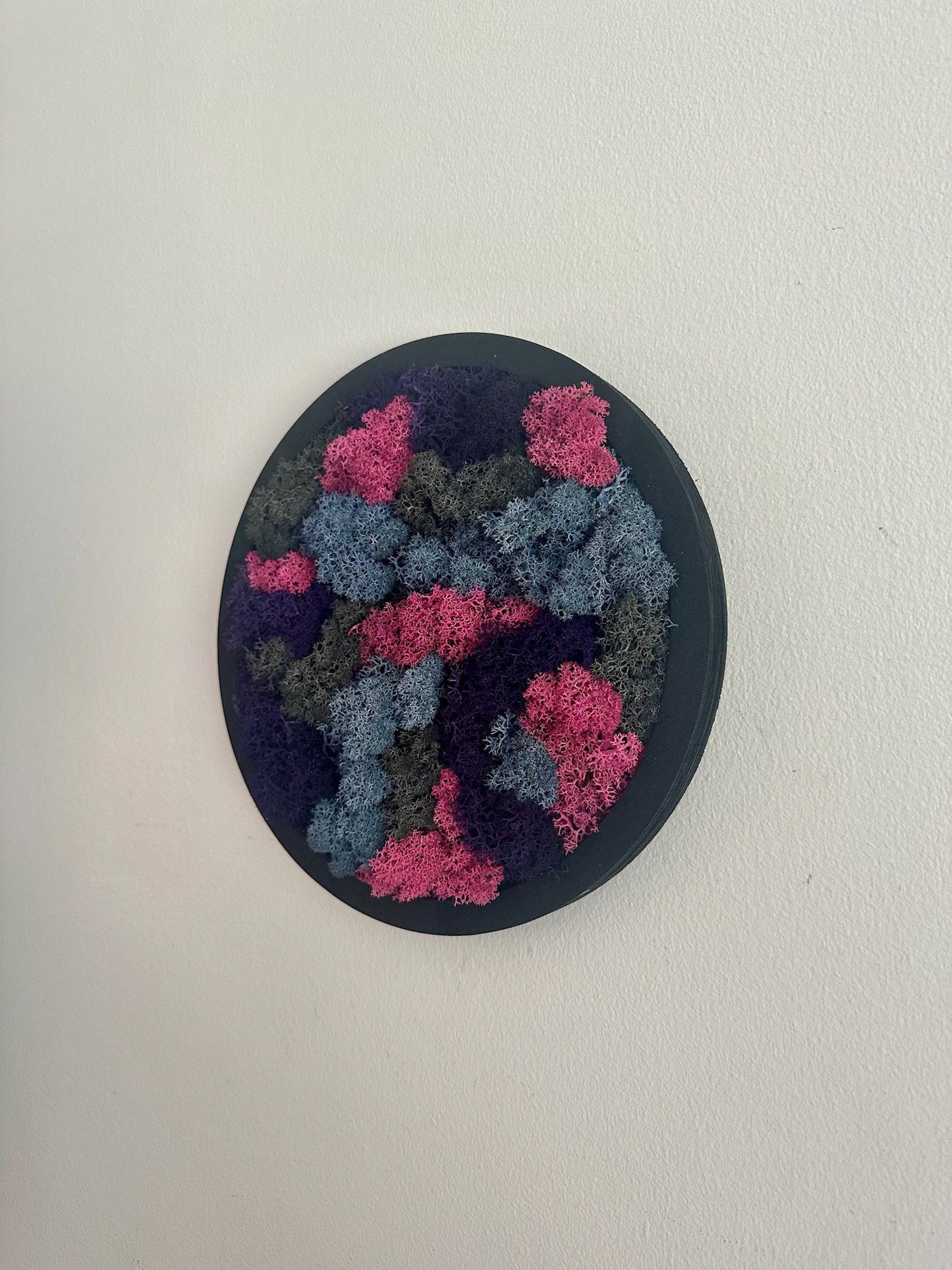Preserved Moss Wall Art: 10" Circle Frame, Reindeer & Sheet Moss | USA - TARIFF FREE