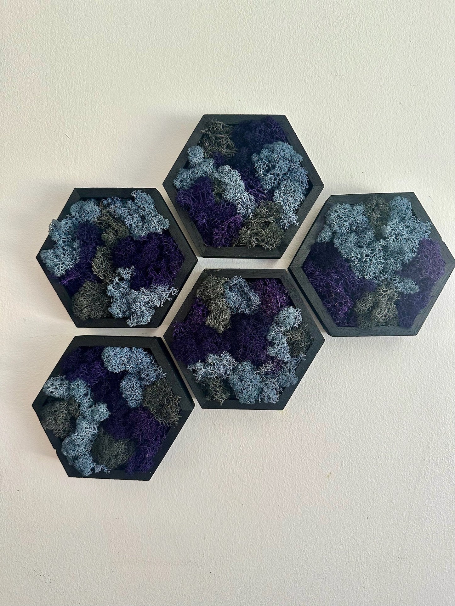 Moss Wall Art  | Wood Hexagon  with Moss   |  Home  Decor  | Sets 1 to 12,  5” x 6”  | Reindeer Moss | Purple Blue and Grey