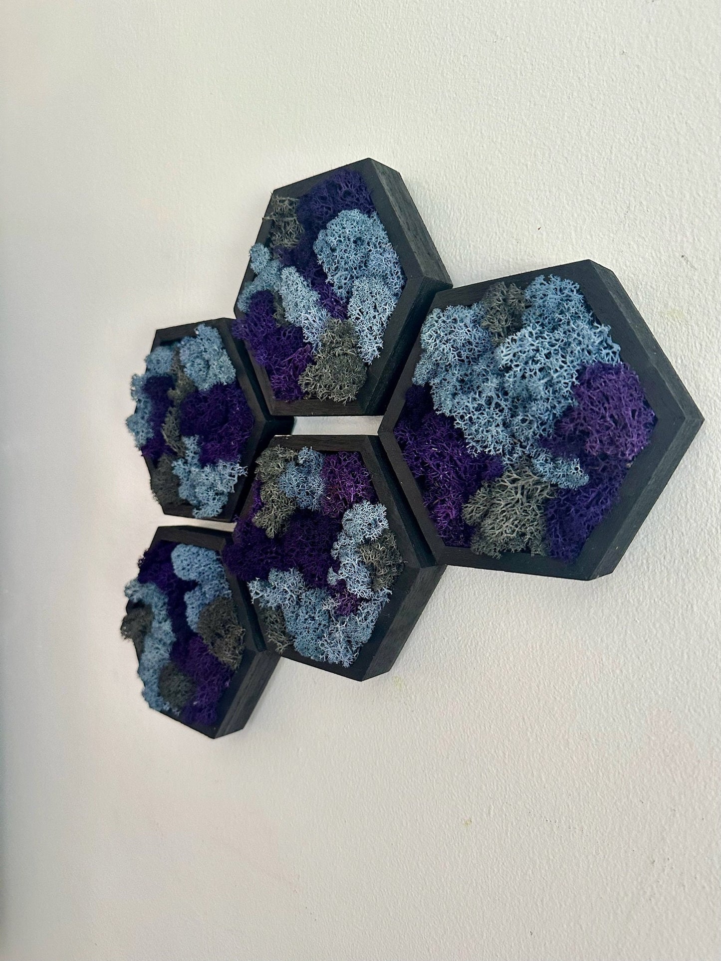 Preserved Reindeer Moss Wall Art: Wood Hexagon Set, Purple Blue Grey