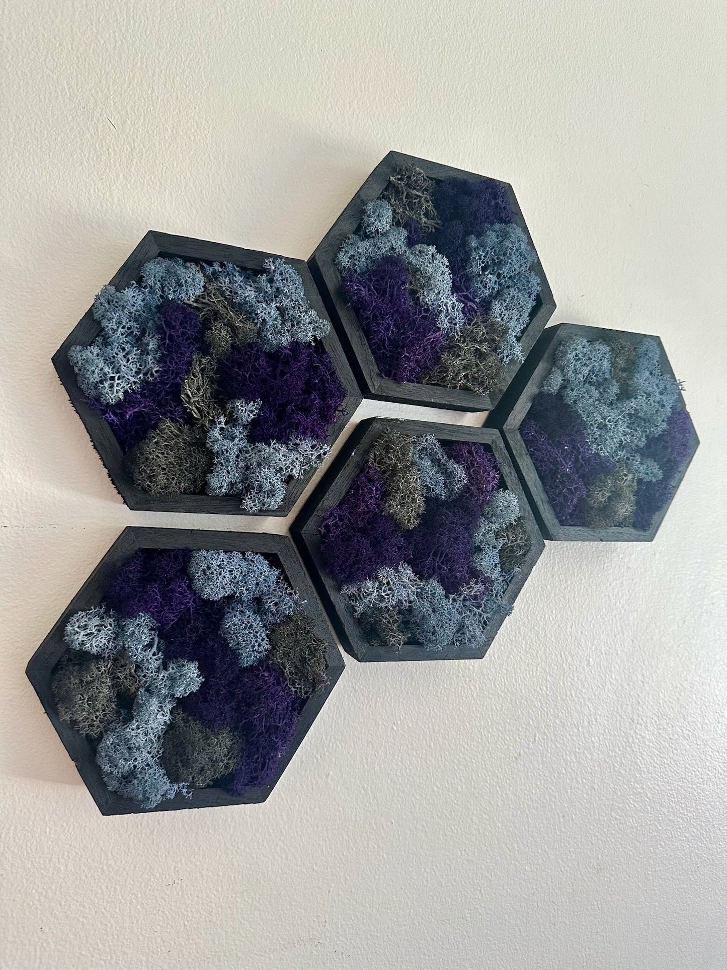 Moss Wall Art  | Wood Hexagon  with Moss   |  Home  Decor  | Sets 1 to 12,  5” x 6”  | Reindeer Moss | Purple Blue and Grey