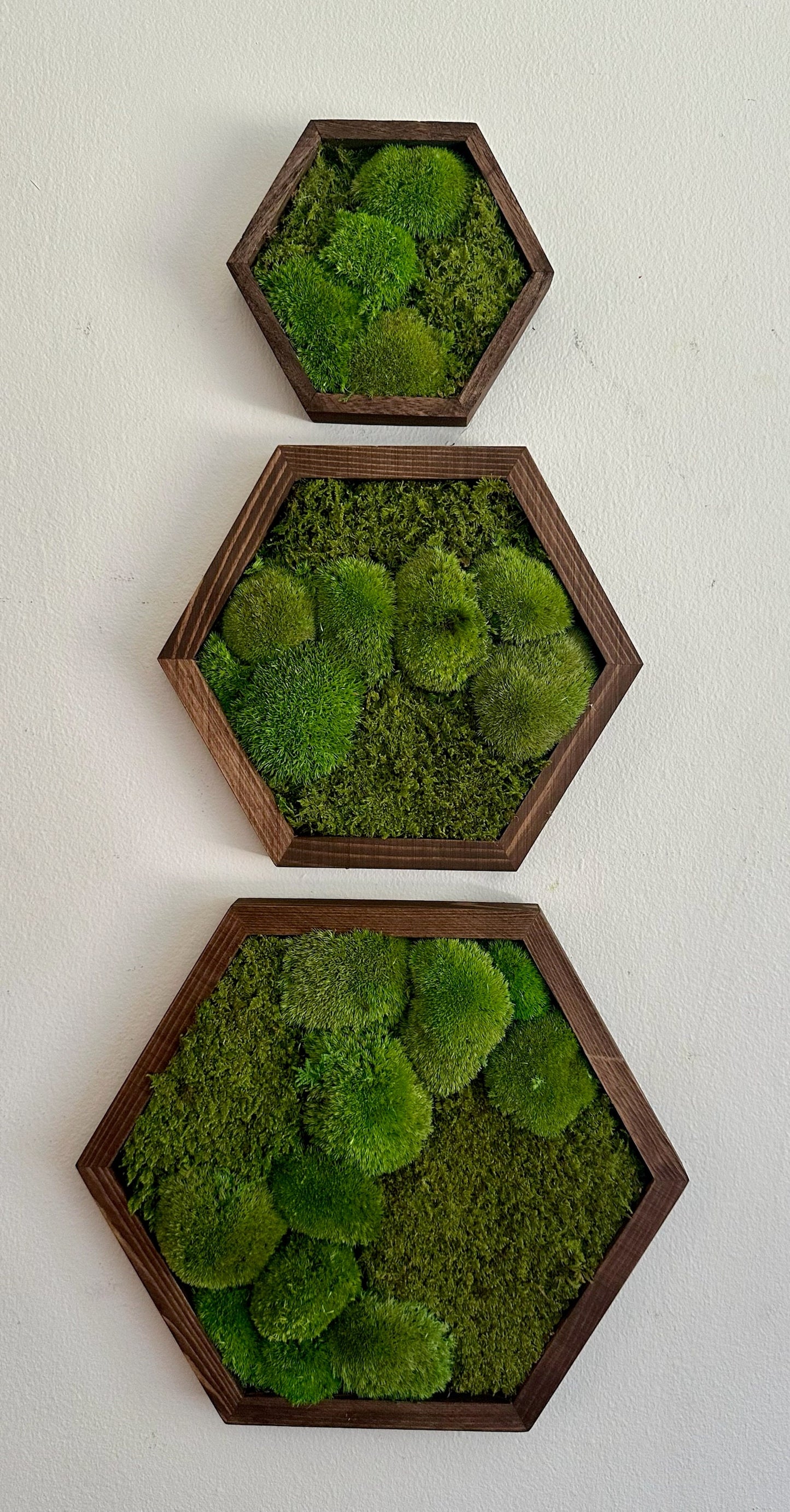 Honeycomb Moss Wall Art: Wood Hexagon Frame, Preserved Reindeer Moss | USA - TARIFF FREE