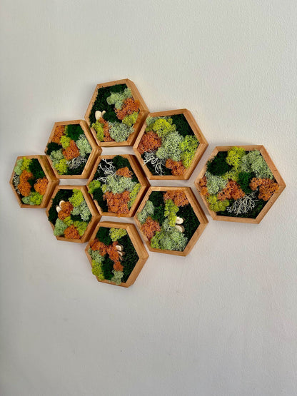 Honeycomb Moss Wall Art: Preserved Reindeer Moss, Wood Hexagon Frame | USA - TARIFF FREE