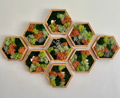 Honeycomb Moss Wall Art: Preserved Reindeer Moss, Wood Hexagon Frame | USA - TARIFF FREE