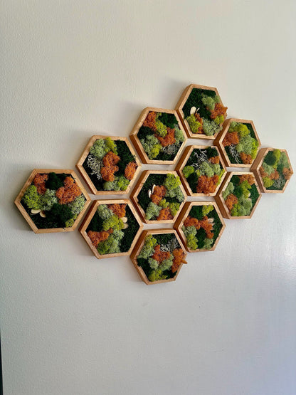 Honeycomb Moss Wall Art: Preserved Reindeer Moss, Wood Hexagon Frame | USA - TARIFF FREE