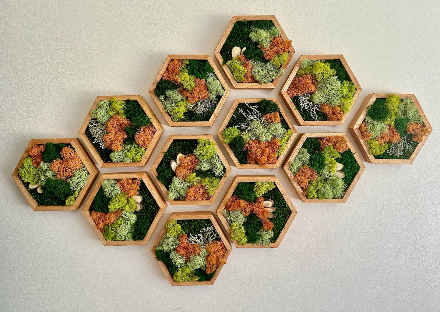 Honeycomb Moss Wall Art: Preserved Reindeer Moss, Wood Hexagon Frame | USA - TARIFF FREE