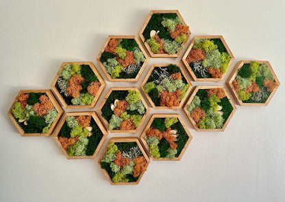 Honeycomb Moss Wall Art: Preserved Reindeer Moss, Wood Hexagon Frame | USA - TARIFF FREE