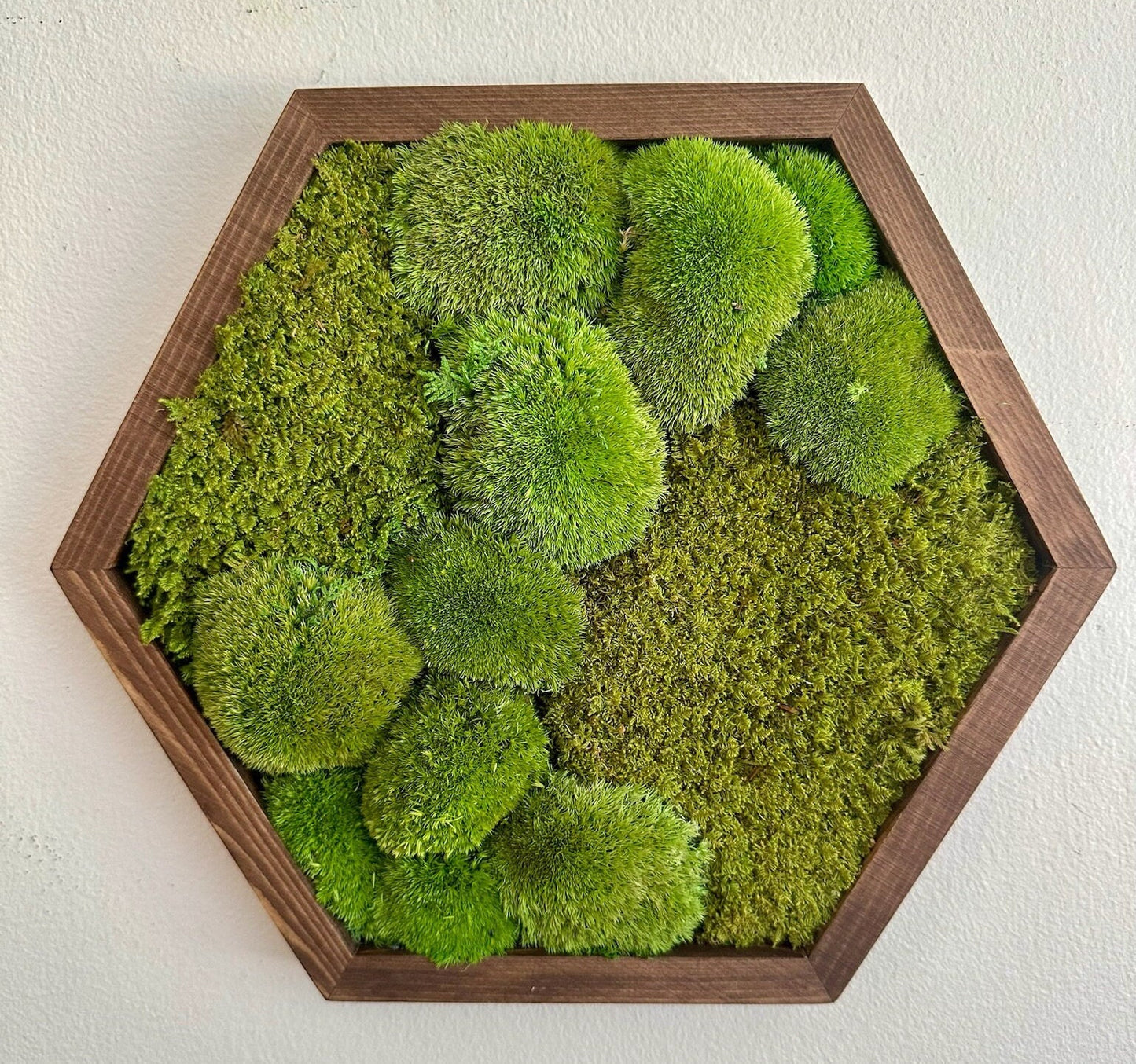 Honeycomb Moss Wall Art: Wood Hexagon Frame, Preserved Reindeer Moss | USA - TARIFF FREE