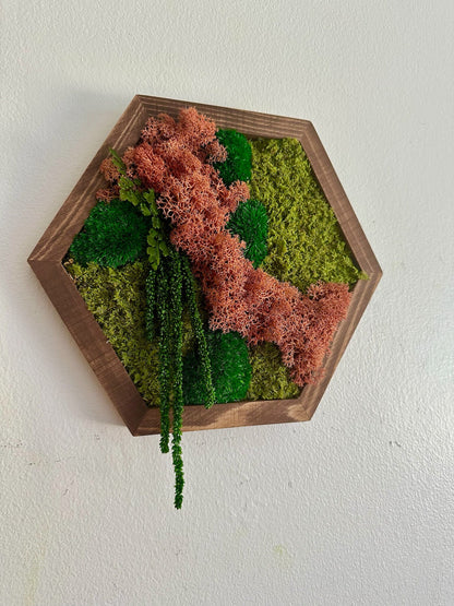 Honeycomb Moss Wall Art: Reindeer Moss in Wood Hexagon | USA - TARIFF FREE