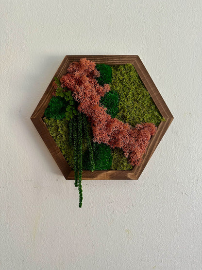 Honeycomb Moss Wall Art: Reindeer Moss in Wood Hexagon | USA - TARIFF FREE